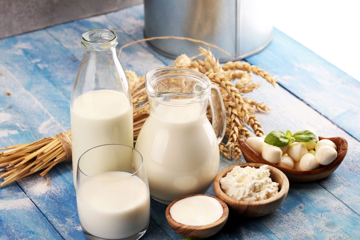 Ten Worst Foods for Prostate Health - Milk Cream and Hi Fat Cheese